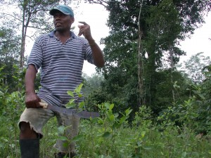 This Afro-Colombian farmer in the southern Pacific coastal province of Nari&ntilde;o tells how even small subsistence patches of coca like his have been subjected to heavy aerial fumigation. Credit: Sanho Tree