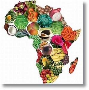 african food imports