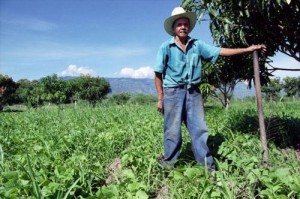 honduras-farmer-carbon-blood-money-cdm-dinant