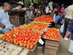 cuba-markets-castro-liberalization