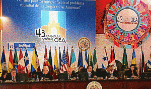 OAS drug reform