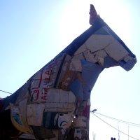 Postcard from Jenin