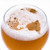 The Perils of Globeerization