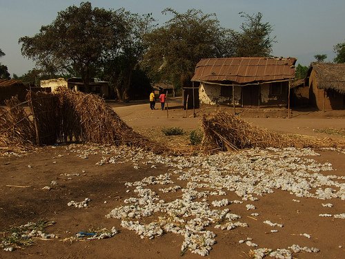 Africa and the Economic Crisis