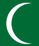 The Saudi Counterrevolution