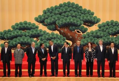 The Puzzling Persistence of APEC