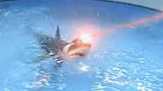 Qadhafi Family’s Money Confiscated, Accounts Frozen