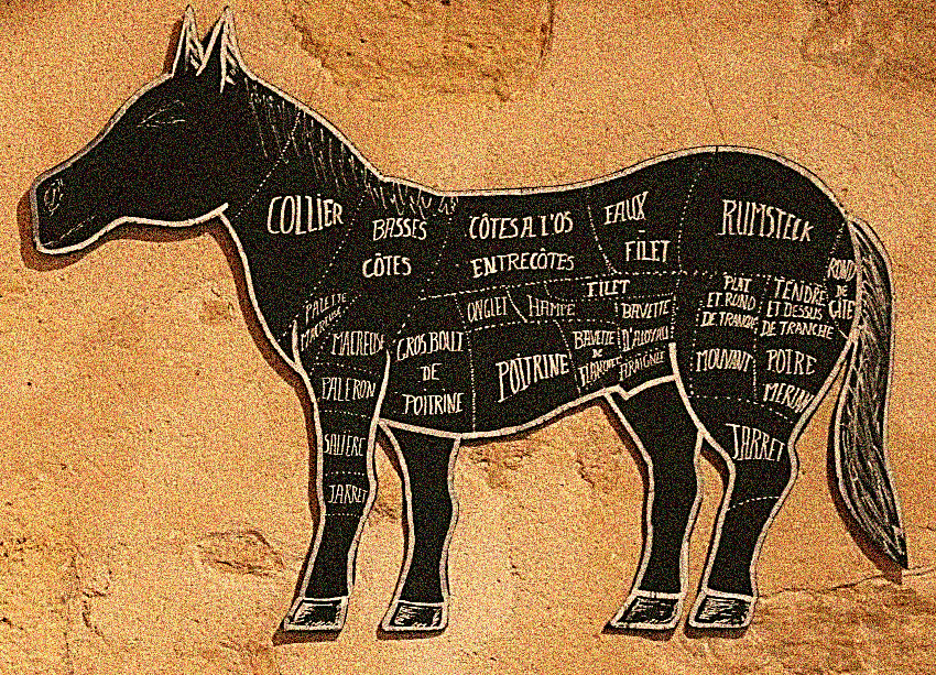 The Sunset of the “Celtic Tiger” Led to the Dawn of the “Horsewich”