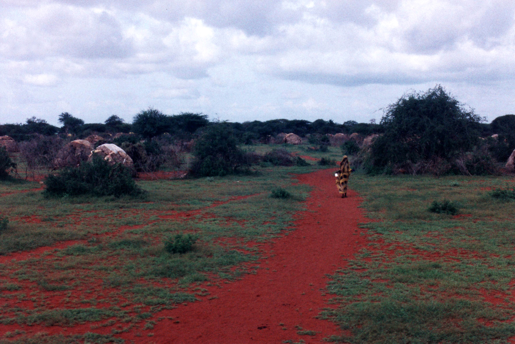 Perilous Times for Kenya’s Somalis