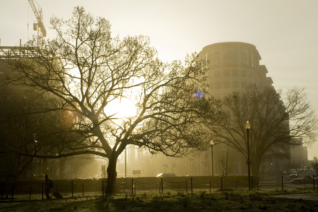 America’s Orphaned Diplomacy