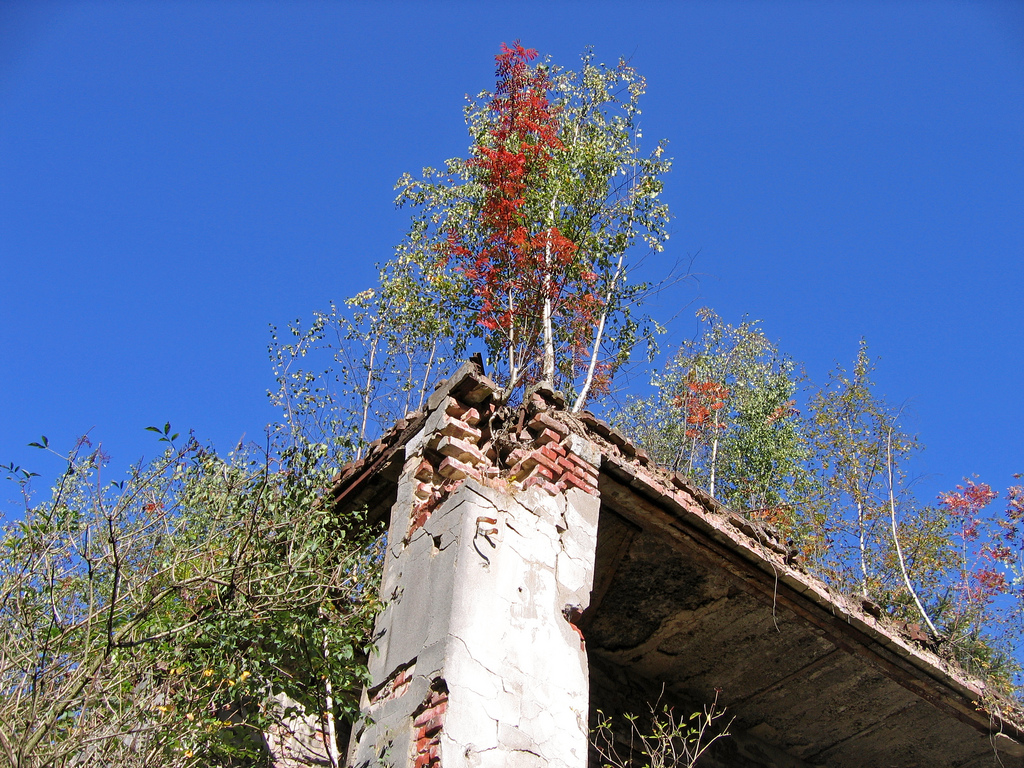 The World Without U.S.