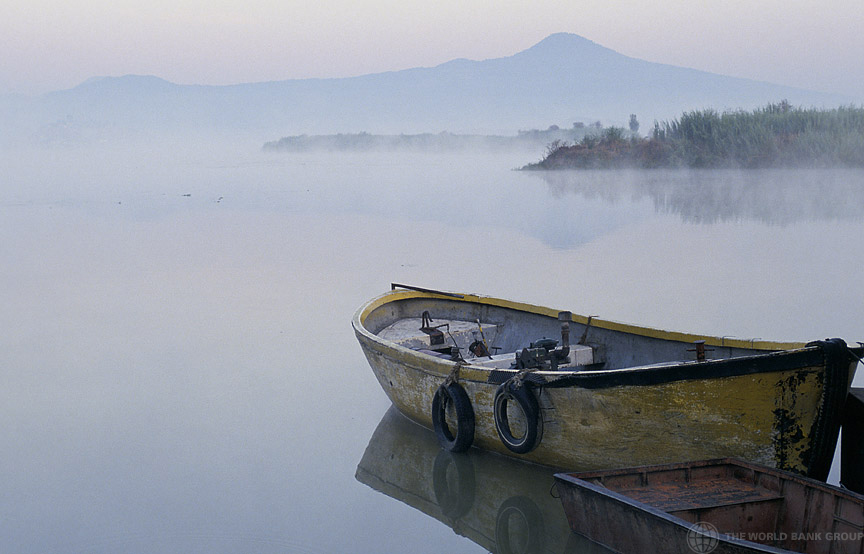 A Letter to My Grandson