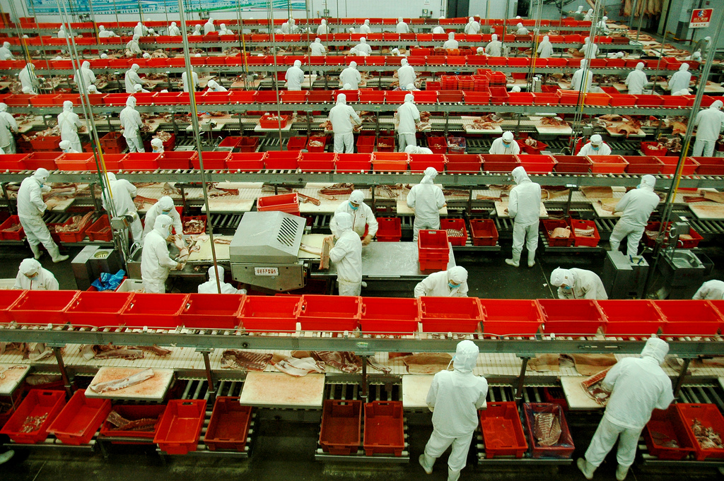 Capitalism with Chinese Characteristics