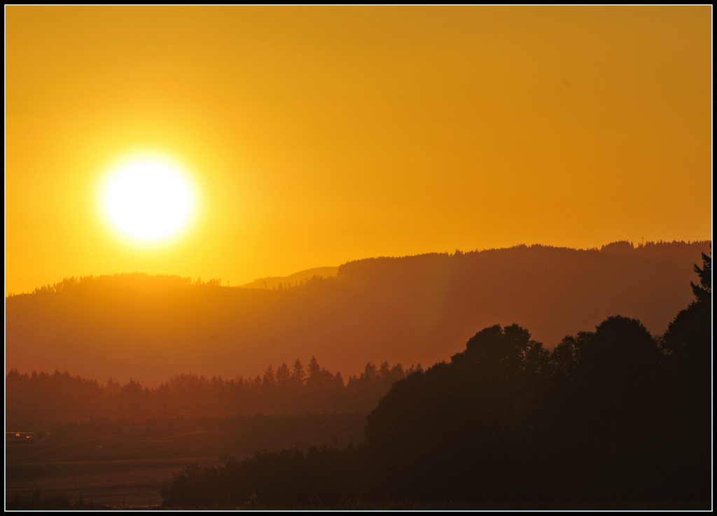 organic-farming-climate-change-agriculture-GMOs