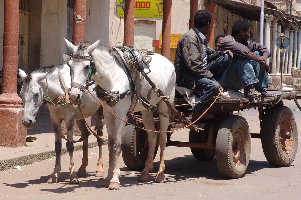 eritrean-refugees-central-america