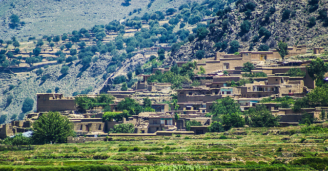 Afghanistan: the Forever War