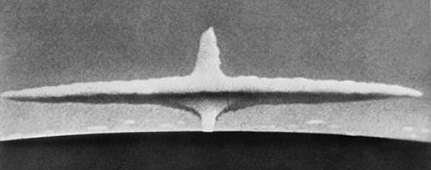 A Pox on the House of Nuclear Weapons