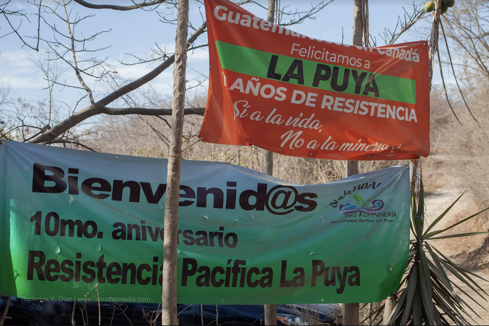 Banners celebrating the 10th anniversary of Peaceful Resistance La Puya, March 2022. (Photo: Iximche Media)