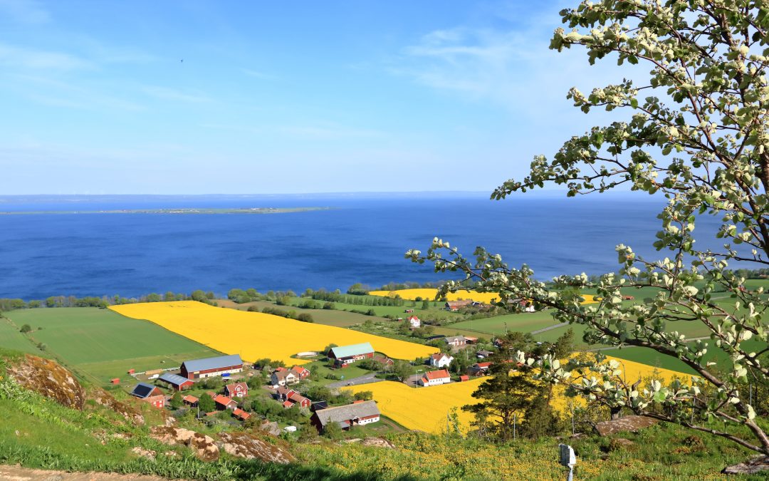 Rare Earth Mining: Sacrificing the Environment to Save the Planet?