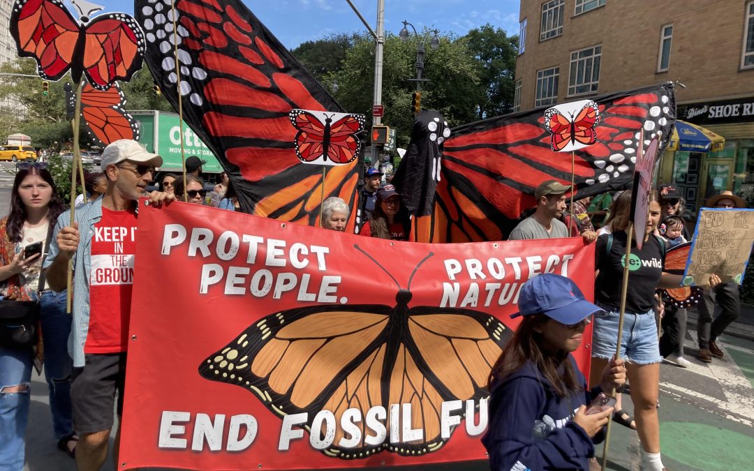 More Butterflies, Fewer Billionaires: Unrigging the Global Economy