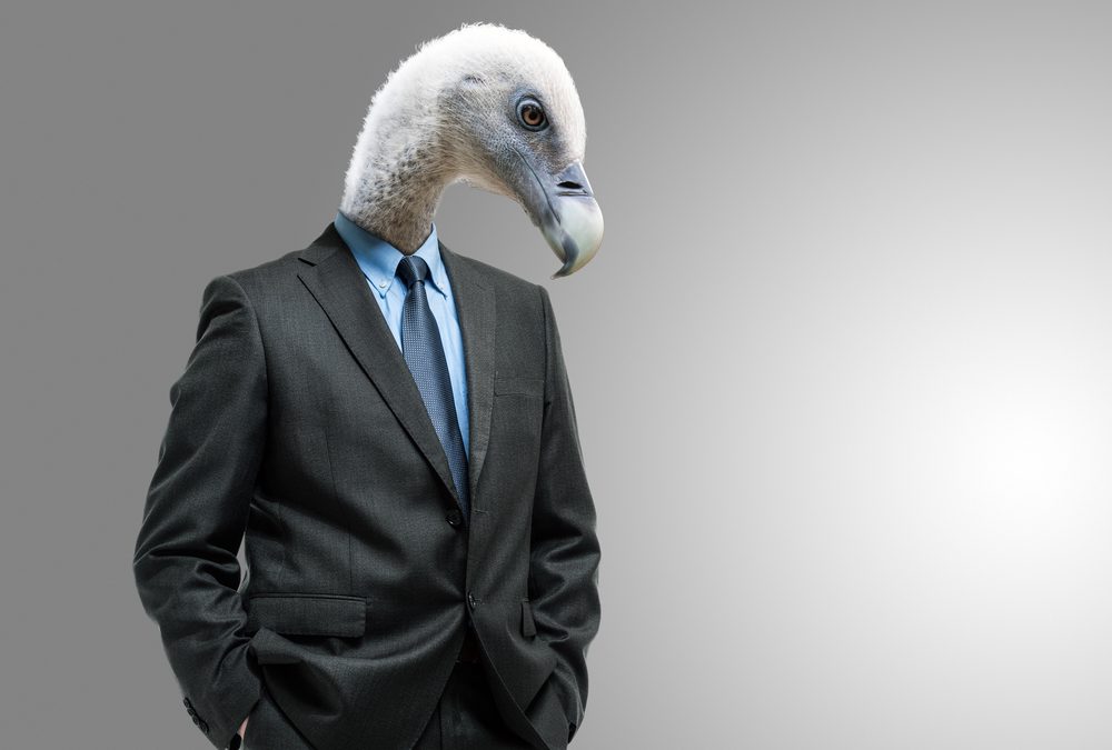 Indebted Countries Find Potential Safe Harbor in New York State