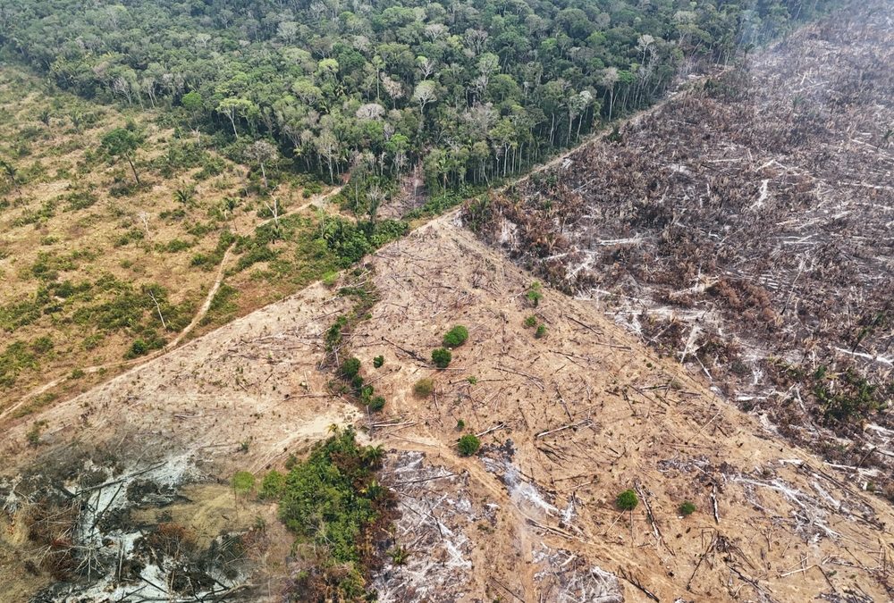 How Predatory Energy Developers Harassed Hondurans