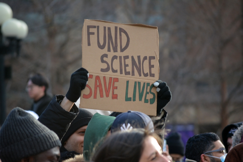 Department of Government Chaos, Revenge, and Patronage